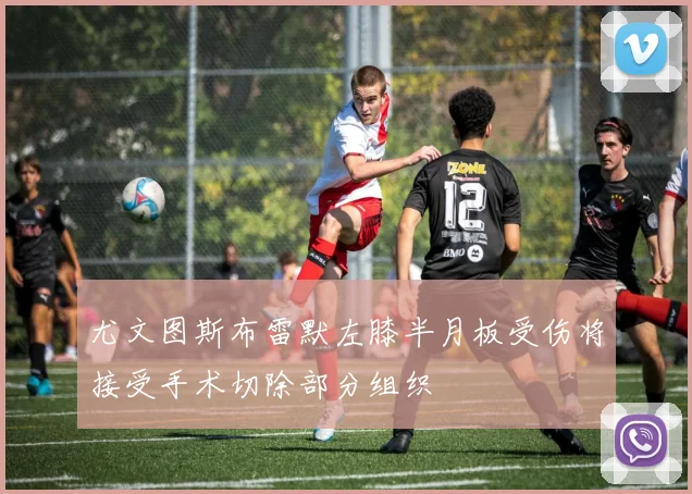 尤文图斯布雷默左膝半月板受伤将接受手术切除部分组织