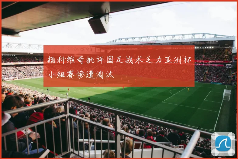 扬科维奇批评国足战术乏力亚洲杯小组赛惨遭淘汰