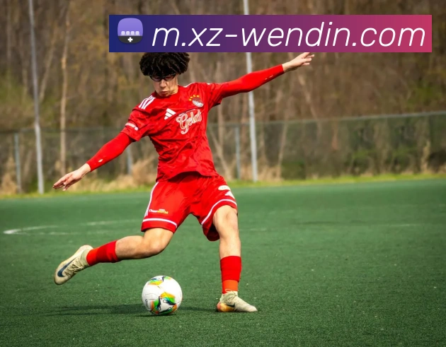 问鼎娱乐平台生态图