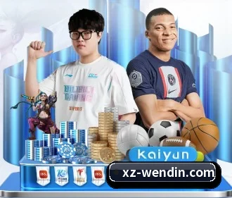 持续创新